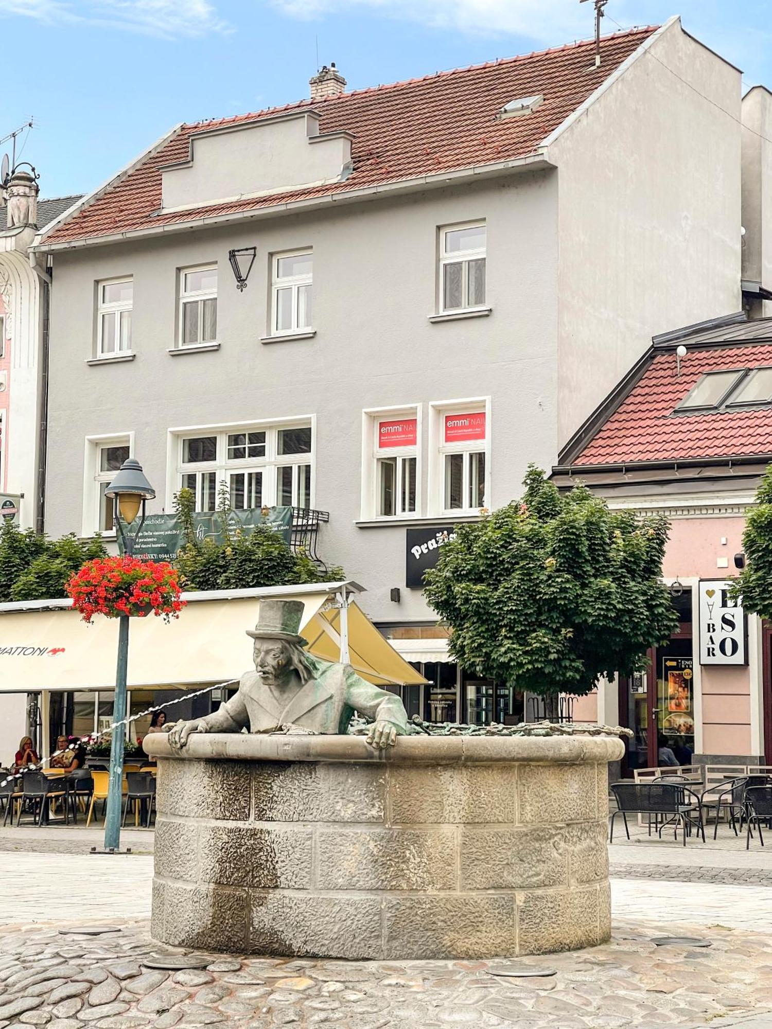 Apartman Vita Deluxe Trenčín Zewnętrze zdjęcie